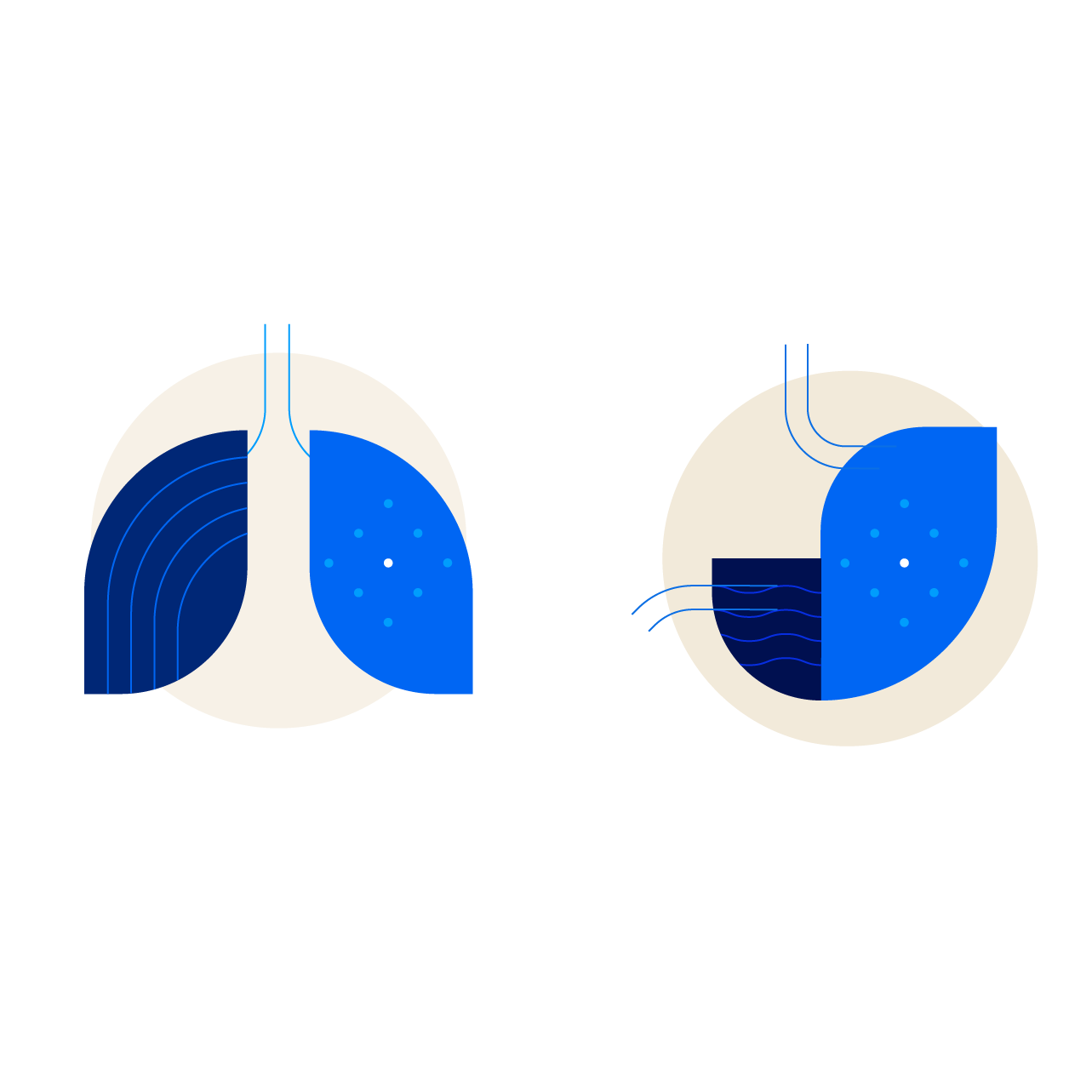 exactsciences-organs exactsciences-organs